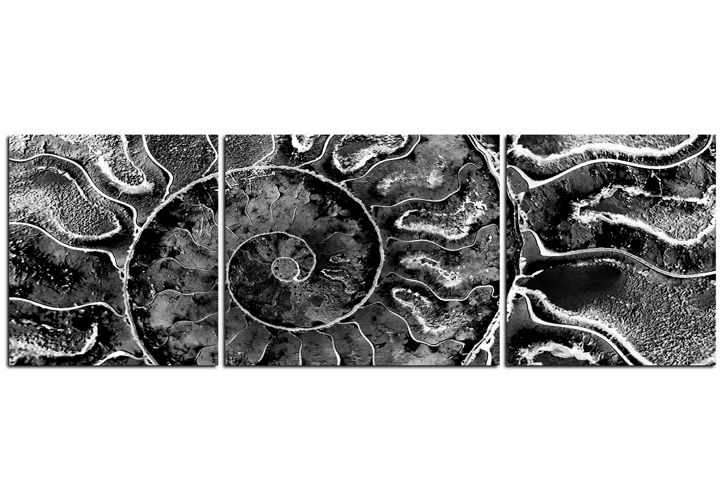 Obraz na plátně - Textura fosílie - panoráma Obraz na plátně - Textura fosílie - panoráma